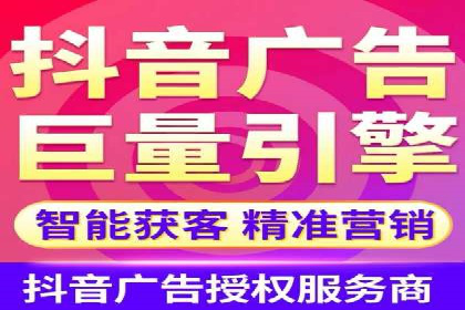Sem优化公司案例：精准广告投放策略解析
